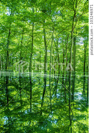 空中神社 103246971