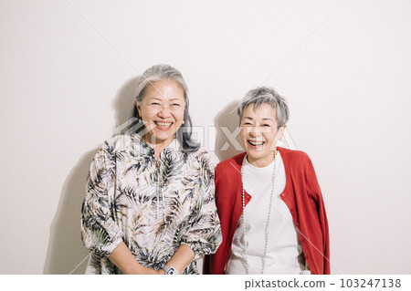 Smiling gray-haired woman/cheerful senior friend Smiling gray-haired woman/cheerful senior friend 103247138