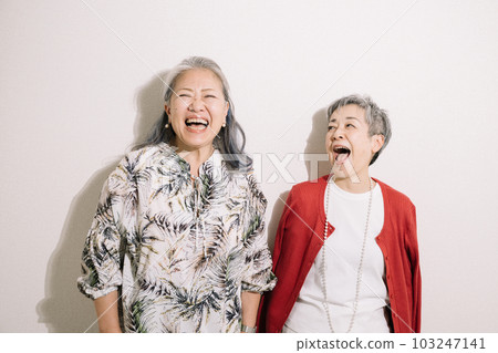 Smiling gray-haired woman/cheerful senior friend Smiling gray-haired woman/cheerful senior friend 103247141