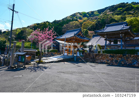 瑞林寺若狹町 瑞林寺若狹町 103247159