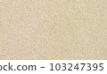White sand beach photo/texture material 103247395