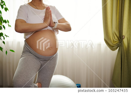 Pregnancy yoga. Expectant gravid female yogi, pregnant woman with naked belly, training tree position with prayer hands at home, practicing meditation and breathing exercises. Copy Space. Cropped view 103247435
