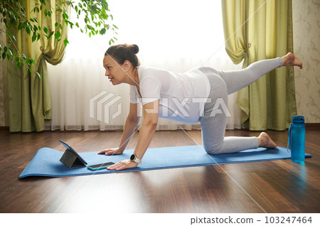 Young determined active pregnant woman watching online pregnancy yoga courses on digital tablet, doing prenatal sunbird, bird-dog pose, stretching her body on an exercise mat in cozy home interior Young determined active pregnant woman watching online pregnancy yoga courses on digital tablet, doing prenatal sunbird, bird-dog pose, stretching her body on an exercise mat in cozy home interior 103247464