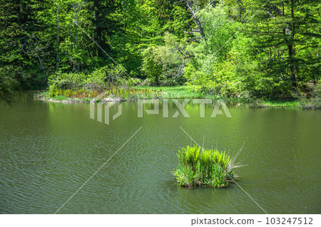 大沼的Ukishima 103247512