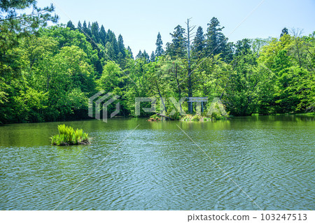 大沼的Ukishima 103247513