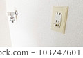 Washing machine faucet and outlet, ground wire 103247601