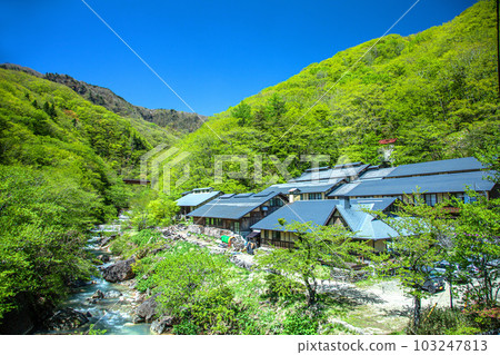 Fresh green gaga hot springs Fresh green gaga hot springs 103247813