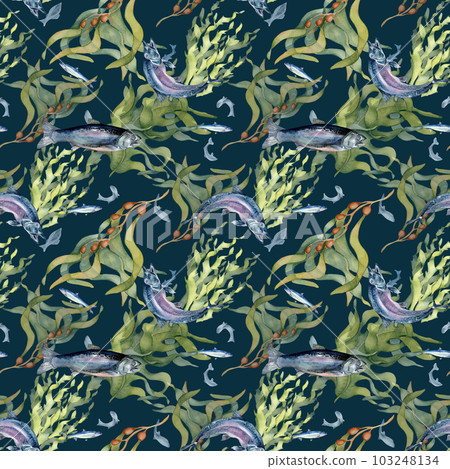 Seamless pattern of salmon and sea plants watercolor isolated on black. Wild fish, seaweed, laminaria hand drawn. Design element for textile, packaging, paper, wrapping, background, fish market Seamless pattern of salmon and sea plants watercolor isolated on black. Wild fish, seaweed, laminaria hand drawn. Design element for textile, packaging, paper, wrapping, background, fish market 103248134