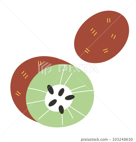 Kiwi fruit illustration isolated on white background. Kiwi fruit illustration isolated on white background. 103248630