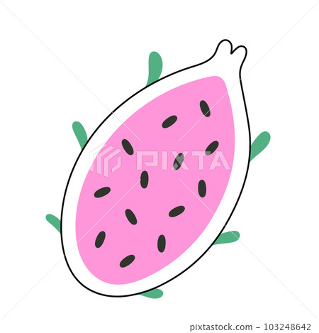Dragon fruit, Pitaya illustration isolated on white background Dragon fruit, Pitaya illustration isolated on white background 103248642