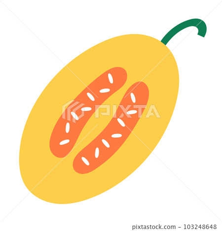 Yellow honey melon fruit illustration isolated on white background Yellow honey melon fruit illustration isolated on white background 103248648