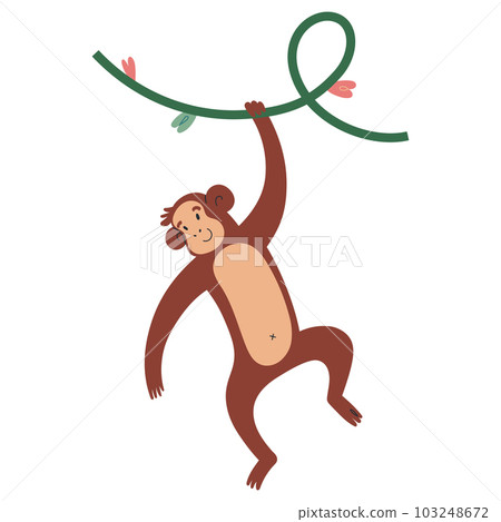 Cute monkey smiling and hanging of a creeper plant, cheerful chimp or macaque, isolated vector illustration on white background 103248672