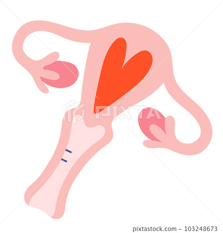 Uterus illustration, menstruation cycle, cute doodle art, hand drawn colored illustration of women's reproductive system, uterus, ovary and womb Uterus illustration, menstruation cycle, cute doodle art, hand drawn colored illustration of women's reproductive system, uterus, ovary and womb 103248673