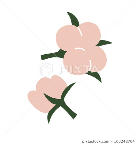 Cotton flower and ball. Symbol, logo or icon of natural eco organic textile, fabric. Vector illustration 103248704