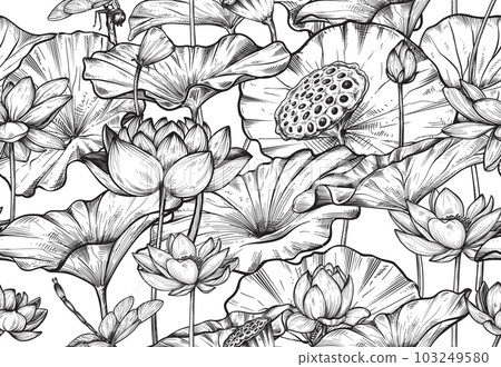 Vector seamless pattern with hand drawn blooming lotus flowers and leaves. Traditionsl oriental print. Best for textile. 103249580