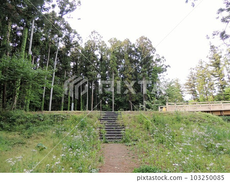 Minowa城堡廢墟Kurayashiki Minowa城堡廢墟Kurayashiki 103250085