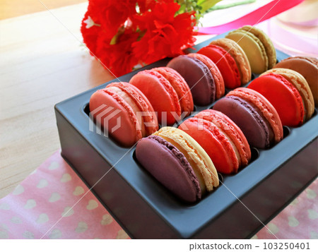 macaron gift 103250401