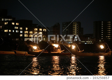 Nagara River Cormorant Total View 103250857