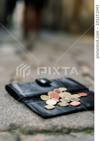 The wallet with coins on sidewalk street, forgotten money The wallet with coins on sidewalk street, forgotten money 103251043