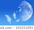 月亮飄落的羽毛飄在空中 103251091