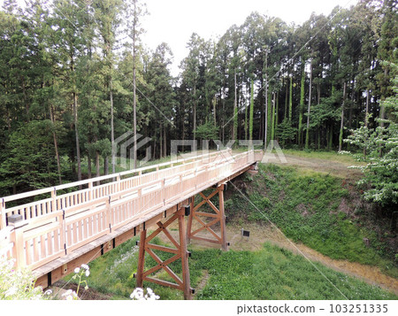 Minowa Castle Ruins Wooden bridge over Honmaru moat Minowa Castle Ruins Wooden bridge over Honmaru moat 103251335