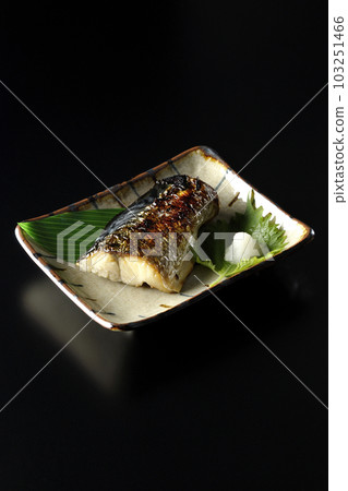 A picture of salt-grilled mackerel with a black background 103251466