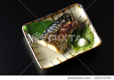 黑色背景下鹽烤鯖魚的鳥瞰圖 黑色背景下鹽烤鯖魚的鳥瞰圖 103251505