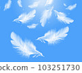 羽毛飄落 103251730