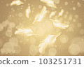 華麗的金色和羽毛圖像 103251731