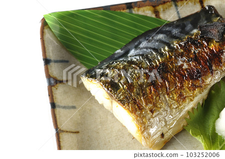 白底鹽烤鯖魚鳥瞰圖 白底鹽烤鯖魚鳥瞰圖 103252006
