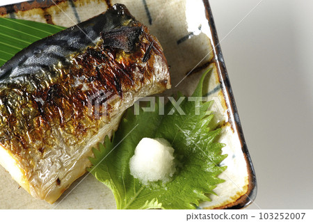 白底鹽烤鯖魚鳥瞰圖 103252007