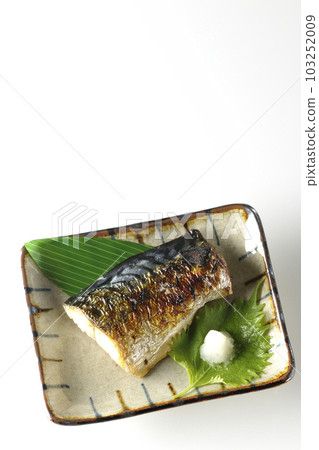 A bird's-eye view of salt-grilled mackerel on a white background 103252009