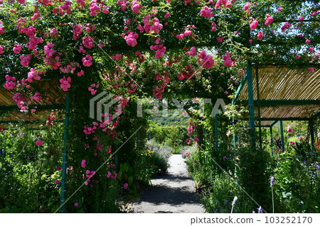 Monet's garden in early summer European-style garden waterfront 103252170