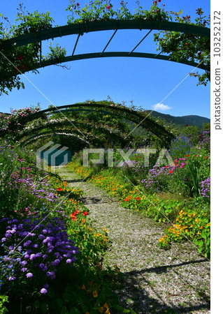 初夏的莫奈花園 歐式園林 水邊 103252172