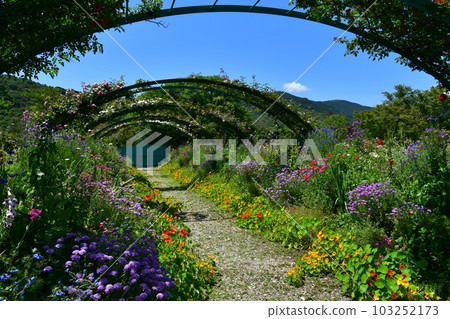初夏的莫奈花園 歐式園林 水邊 103252173