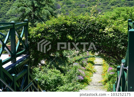 Monet's garden in early summer European-style garden waterfront 103252175
