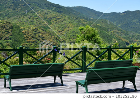 初夏的莫奈花園 歐式園林 水邊 103252180