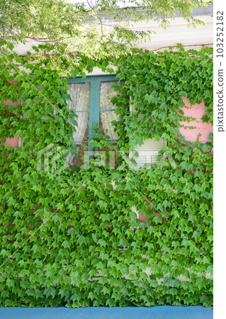 初夏的莫奈花園 歐式園林 水邊 103252182