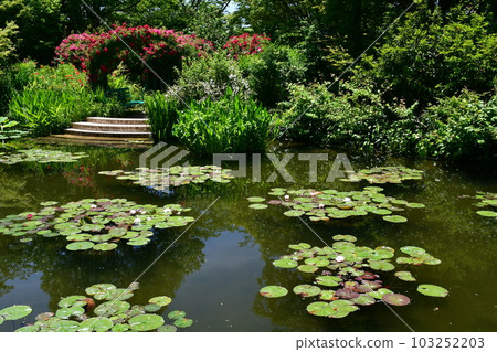 Monet's garden in early summer European-style garden waterfront 103252203