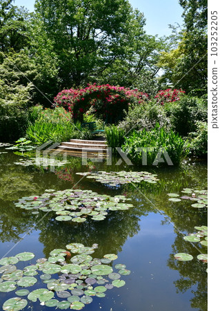 初夏的莫奈花園 歐式園林 水邊 初夏的莫奈花園 歐式園林 水邊 103252205