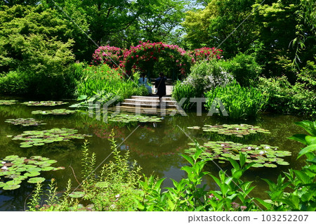 初夏的莫奈花園 歐式園林 水邊 103252207
