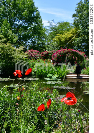 Monet's garden in early summer European-style garden waterfront 103252208