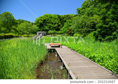 新綠的小作公園 新綠的小作公園 103252687