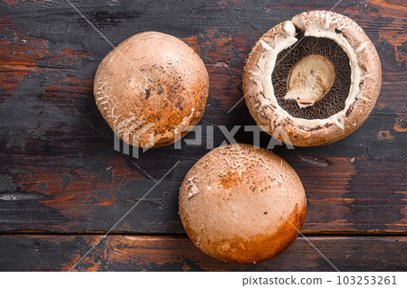 Raw portobello mushrooms set on dark old wood table top view space for text. Raw portobello mushrooms set on dark old wood table top view space for text. 103253261