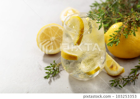 Cocktail Gin-tonic with ice, lemon, and juniper branches. 103253353