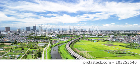 "Saitama Prefecture" The scenery of the summer sky and the swamp rice field taken with a drone 103253546