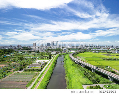"Saitama Prefecture" The scenery of the summer sky and the swamp rice field taken with a drone 103253593