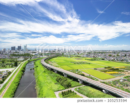 "Saitama Prefecture" The scenery of the summer sky and the swamp rice field taken with a drone "Saitama Prefecture" The scenery of the summer sky and the swamp rice field taken with a drone 103253594