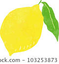 檸檬水果 103253873