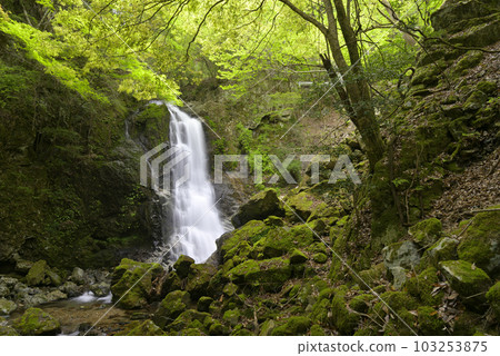 Nobegataki Falls (Yamazaki Town, Shiso City, Hyogo Prefecture) 103253875